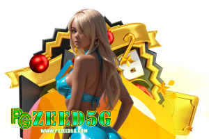 ทางเข้า pgzeed